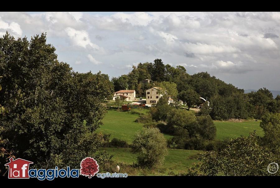 La Faggiola Agriturismo Vila Macerata Feltria Exterior foto